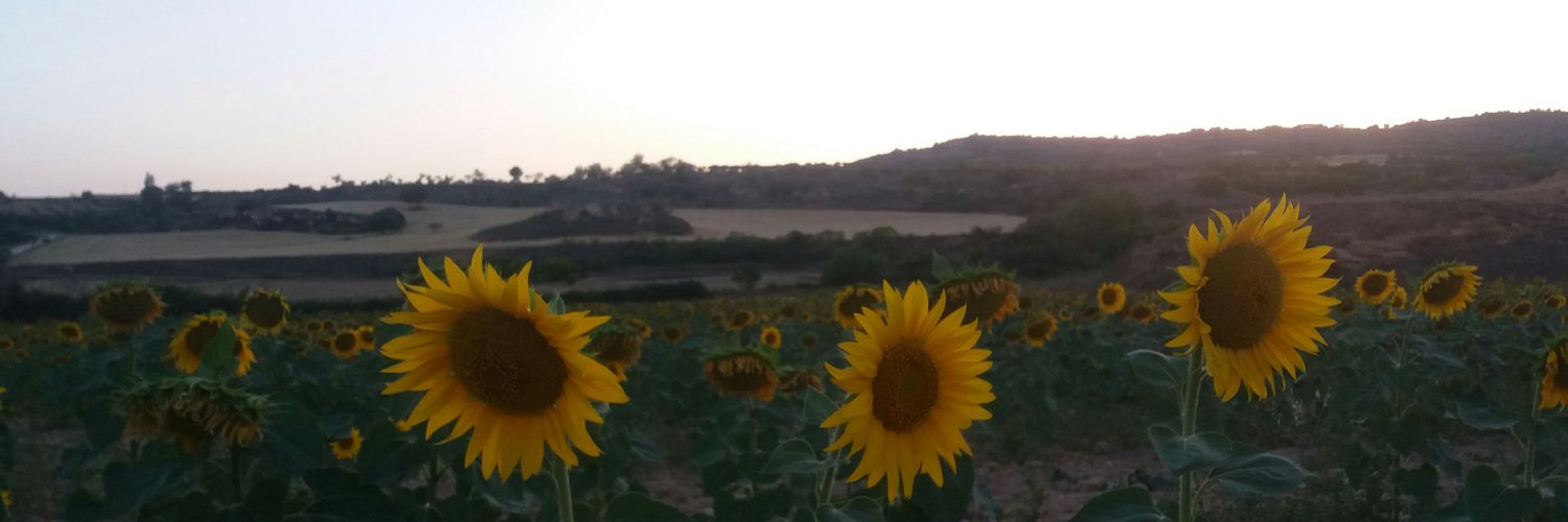 martsupilami's profile banner image