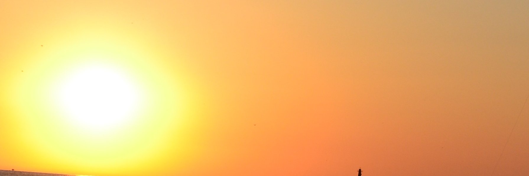 GolliverMedia's profile banner image