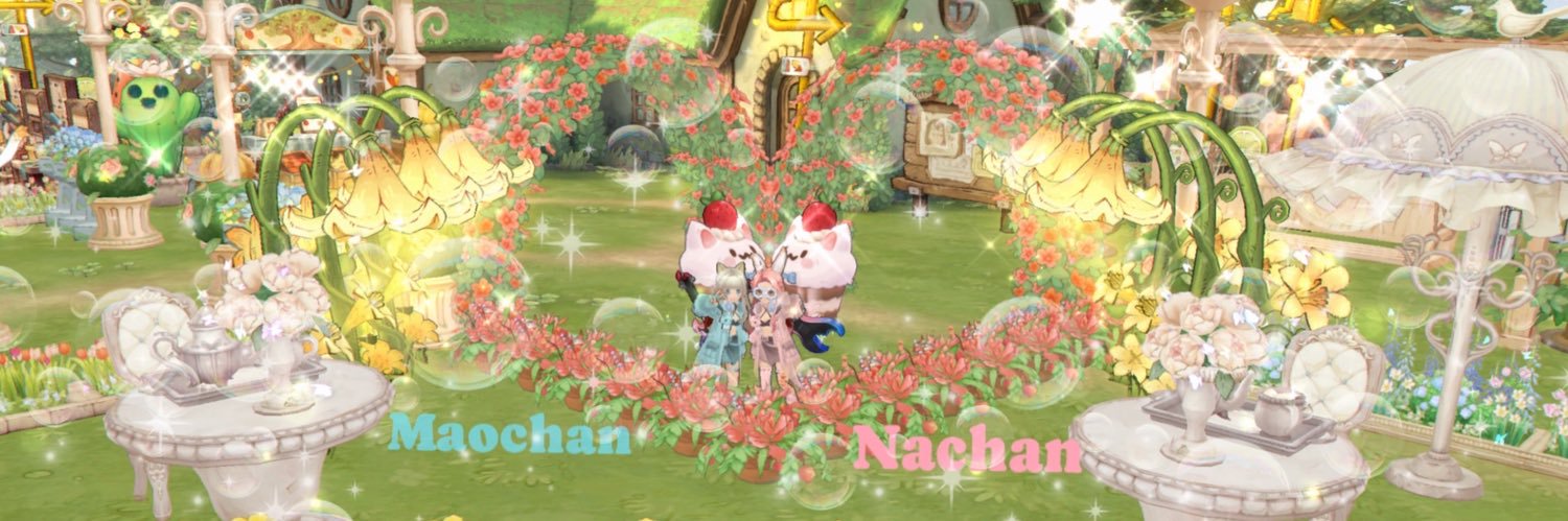 mao. banner