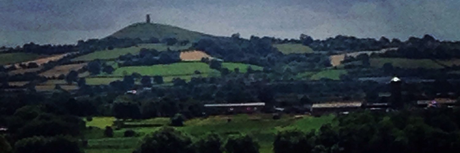 Julia Walton banner