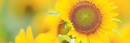 Forever_mt24's profile banner image