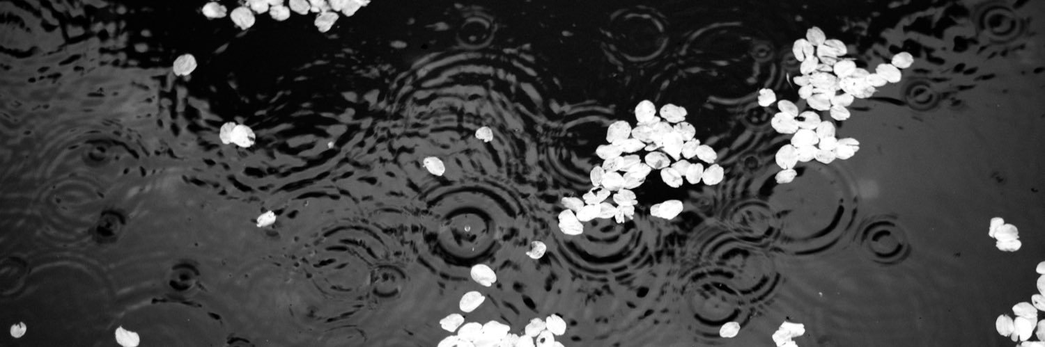 _miinchi's profile banner image