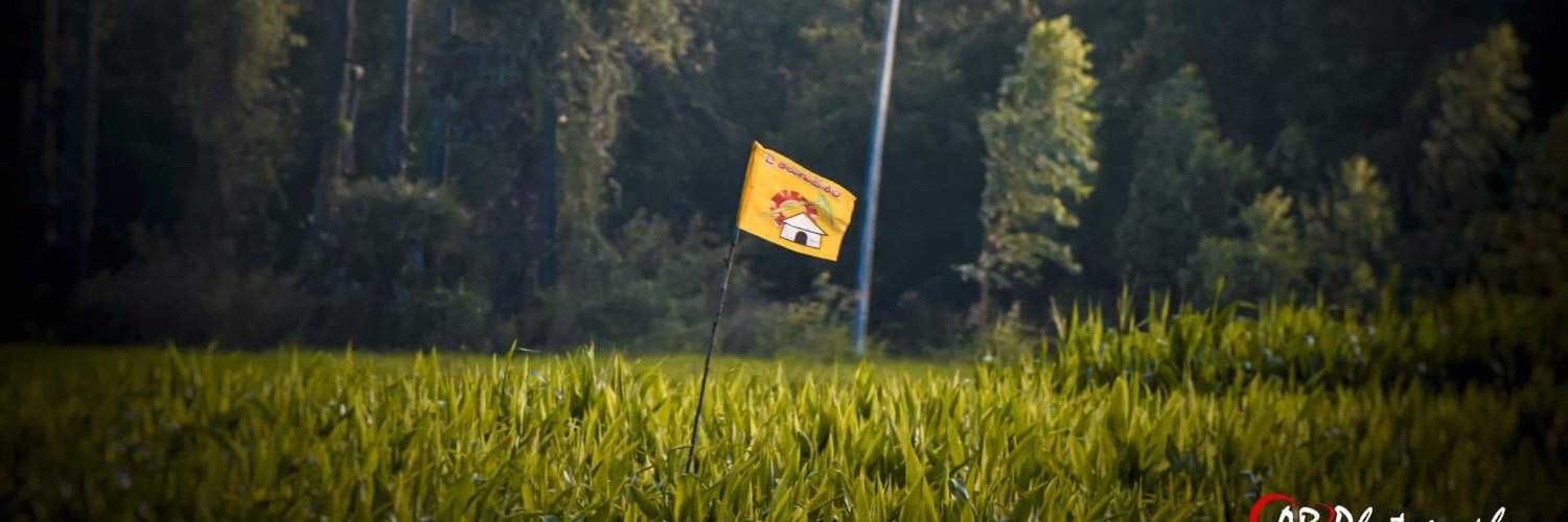 Nandy_twts's profile banner image