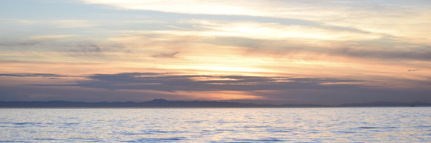 cndyvu's profile banner image