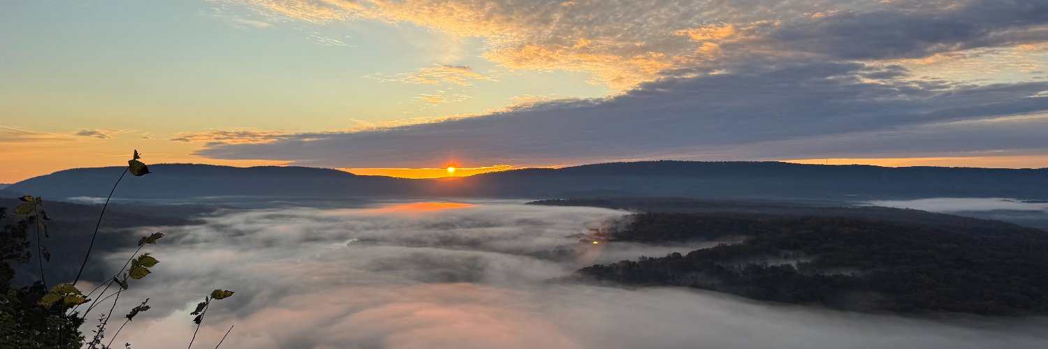 Nicholas Polt banner