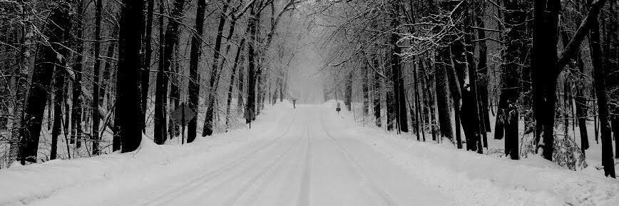 M.handrian zilda banner