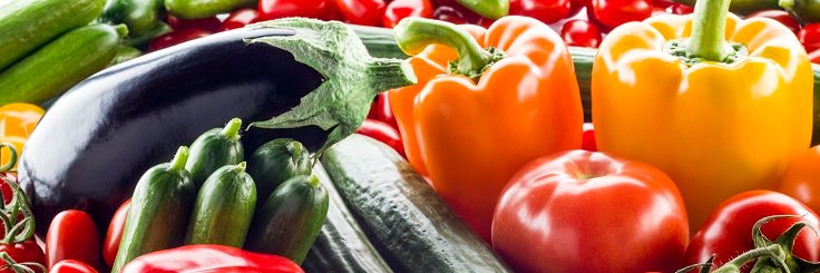 Healthy Food Congres banner