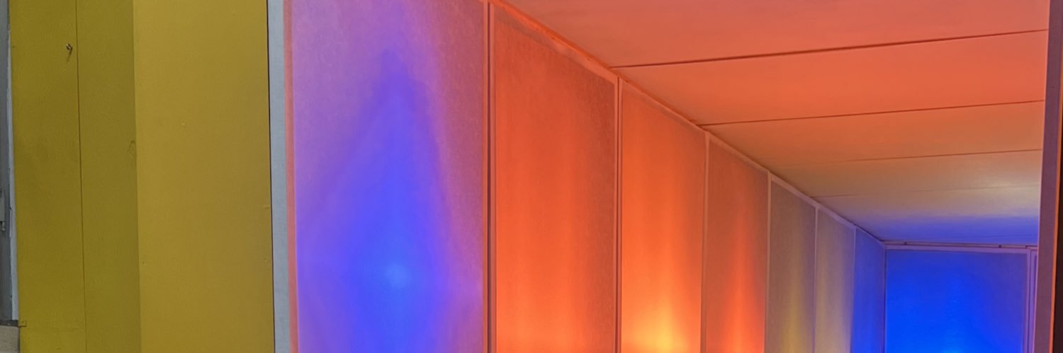 Amy @ The Parakeet banner