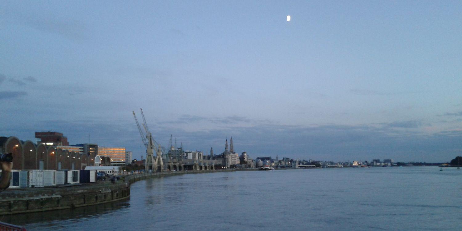 Vicky Michielsen banner