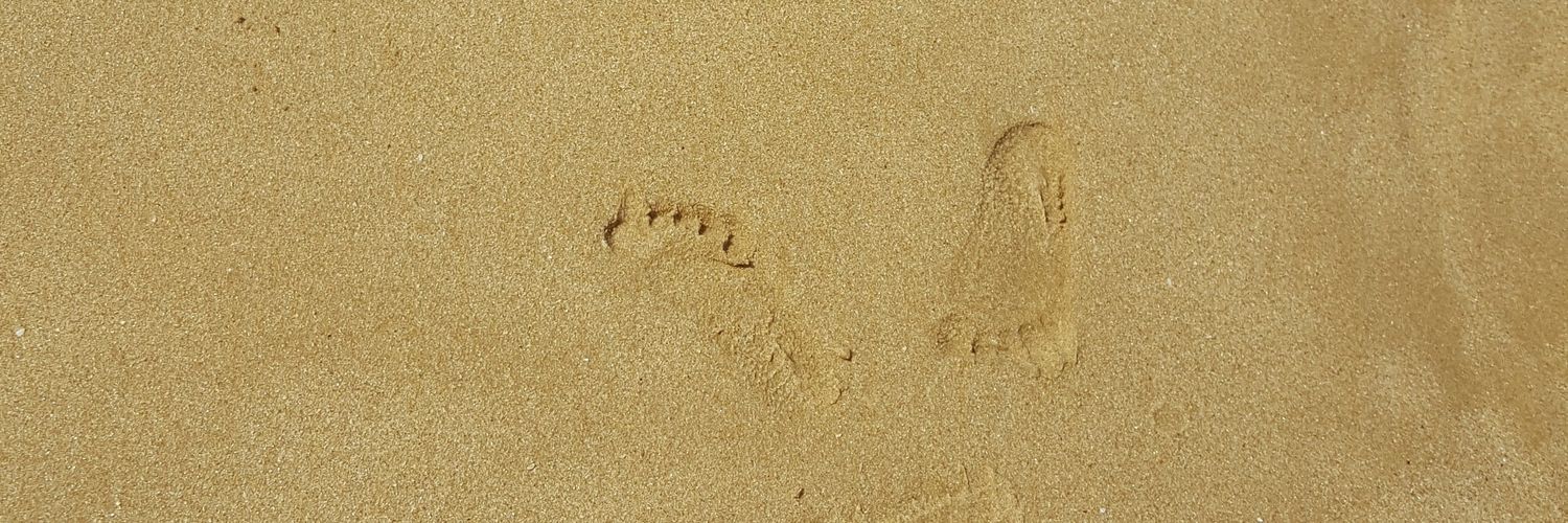 VickyVLS's profile banner image