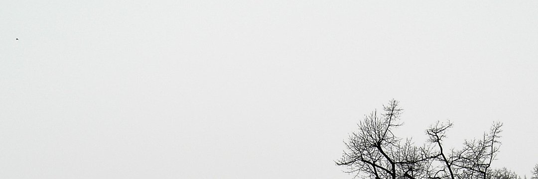 SZcastela's profile banner image