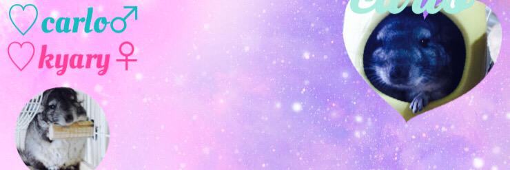 CarloKyary's profile banner image