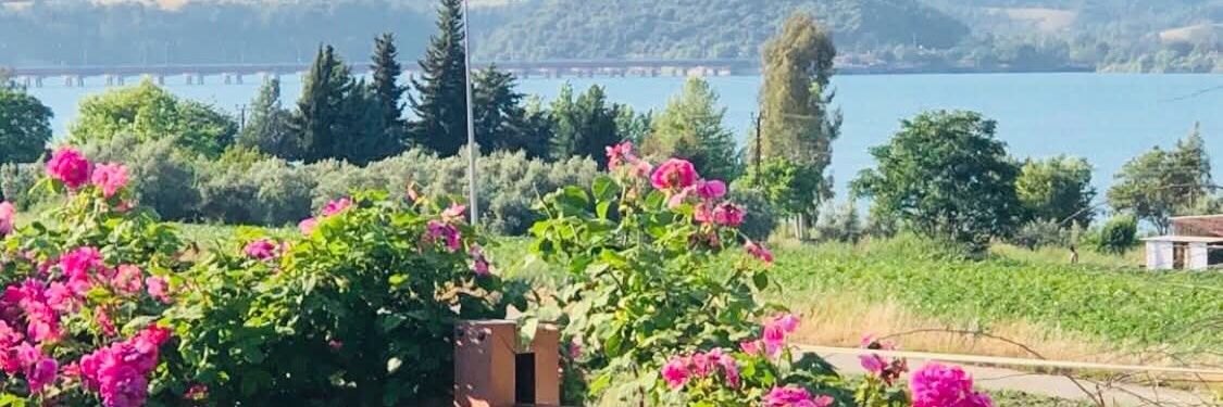 Meryem Türktekin banner