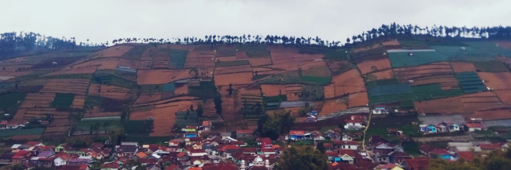 jengcahya's profile banner image