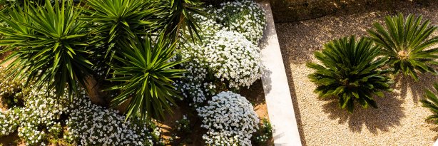 City of Simi Valley banner