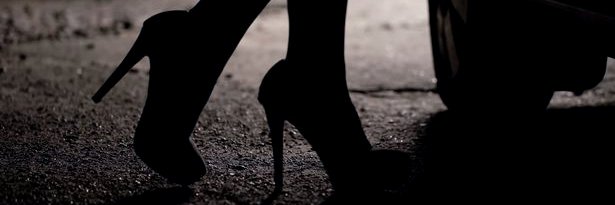 DoggingTow56524's profile banner image