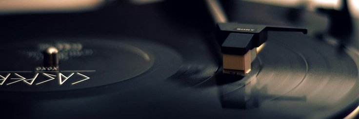 TaylorViegut's profile banner image
