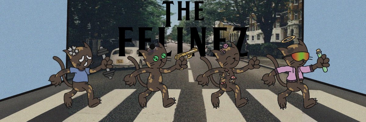 Mircohooo's profile banner image