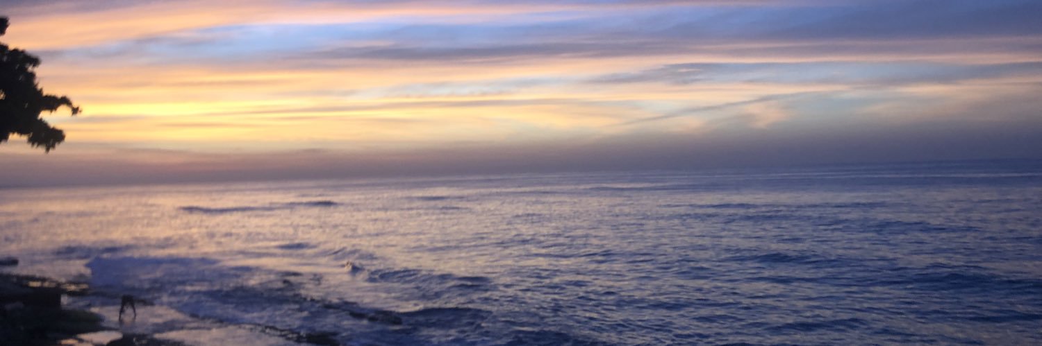 paoCC05's profile banner image