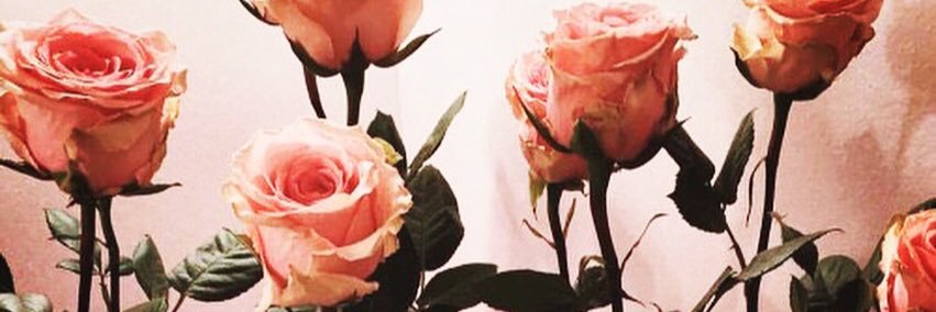 1dParedes's profile banner image