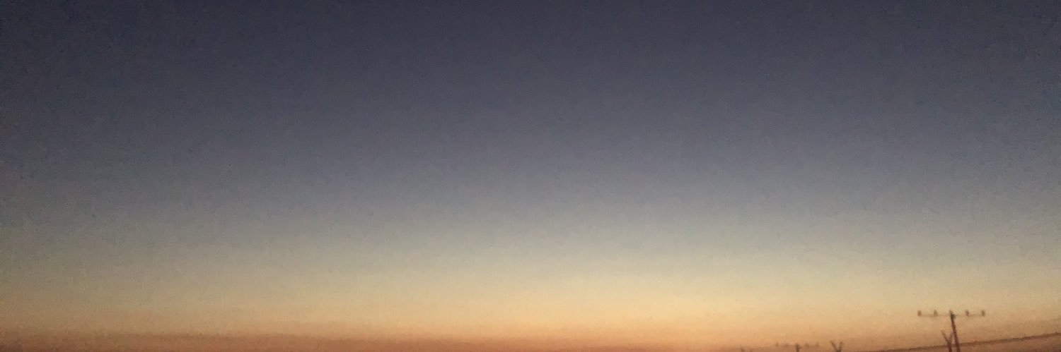 lily banner