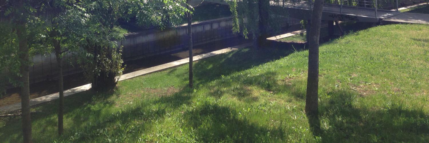 figueired_0's profile banner image