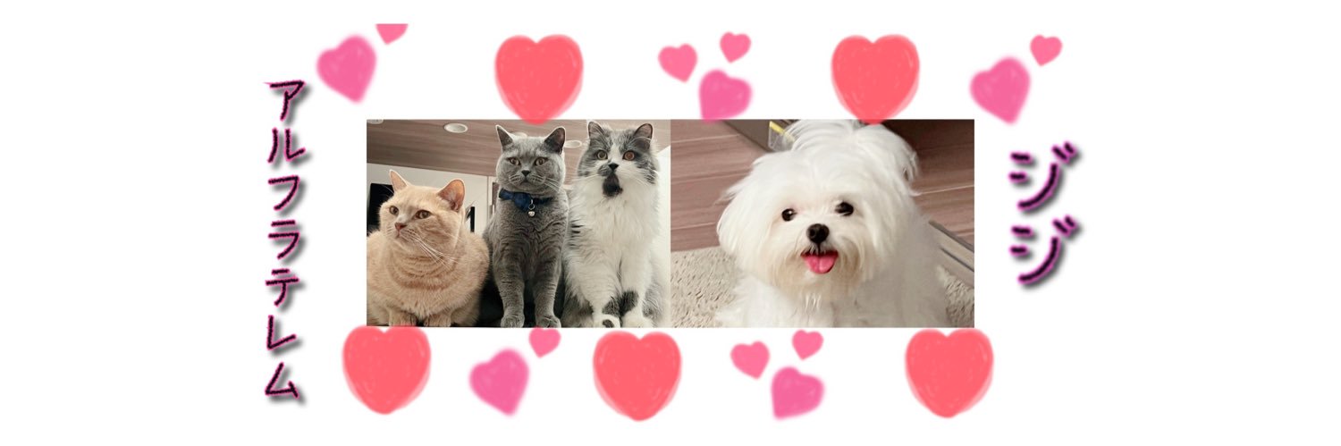 _mmaruraterem's profile banner image