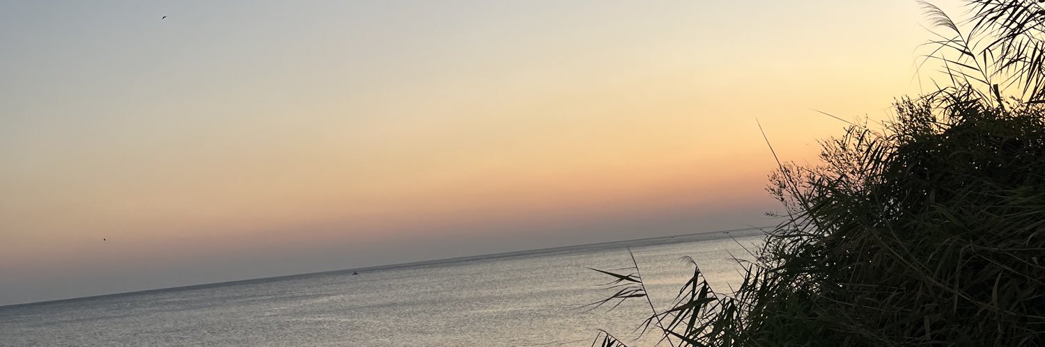 sshapelesss's profile banner image