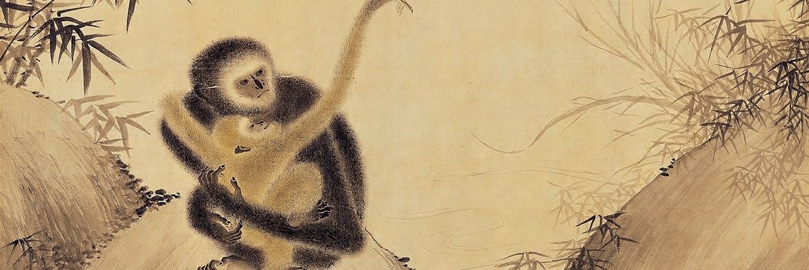 Rıdone Forest 🕸🍕🃏 banner