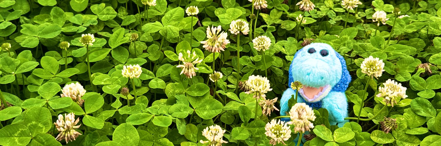 shellfish_pon's profile banner image