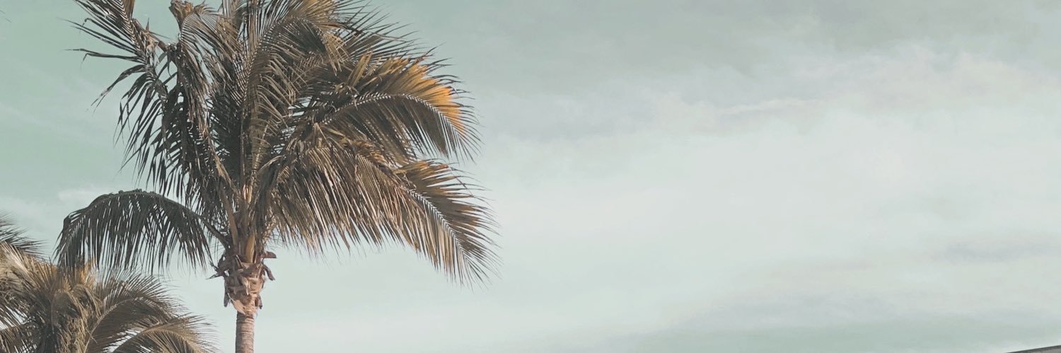 AmeliaHein's profile banner image