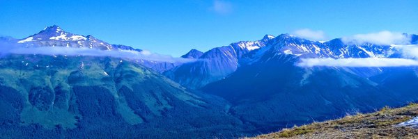 shincoop Profile Banner