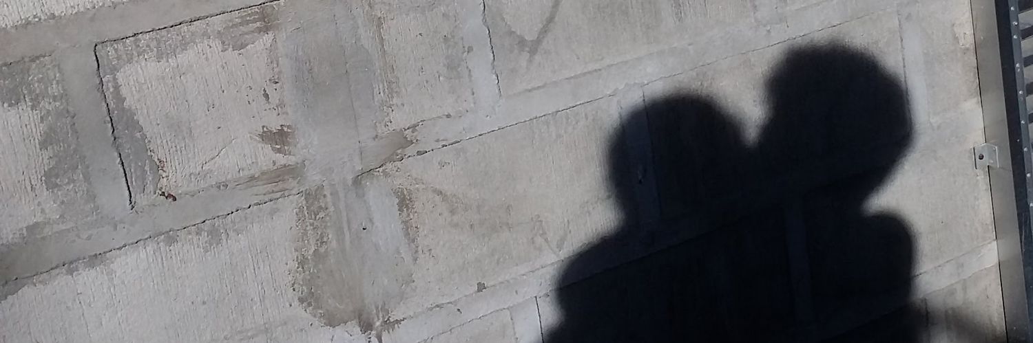 adreanojolly's profile banner image
