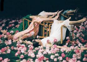 Rossella Traversa banner