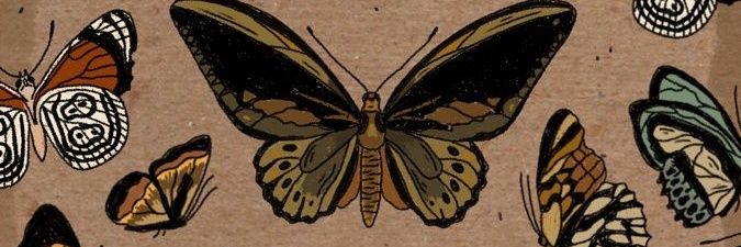 eugen_iaa's profile banner image