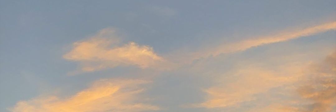 ladaabcde's profile banner image