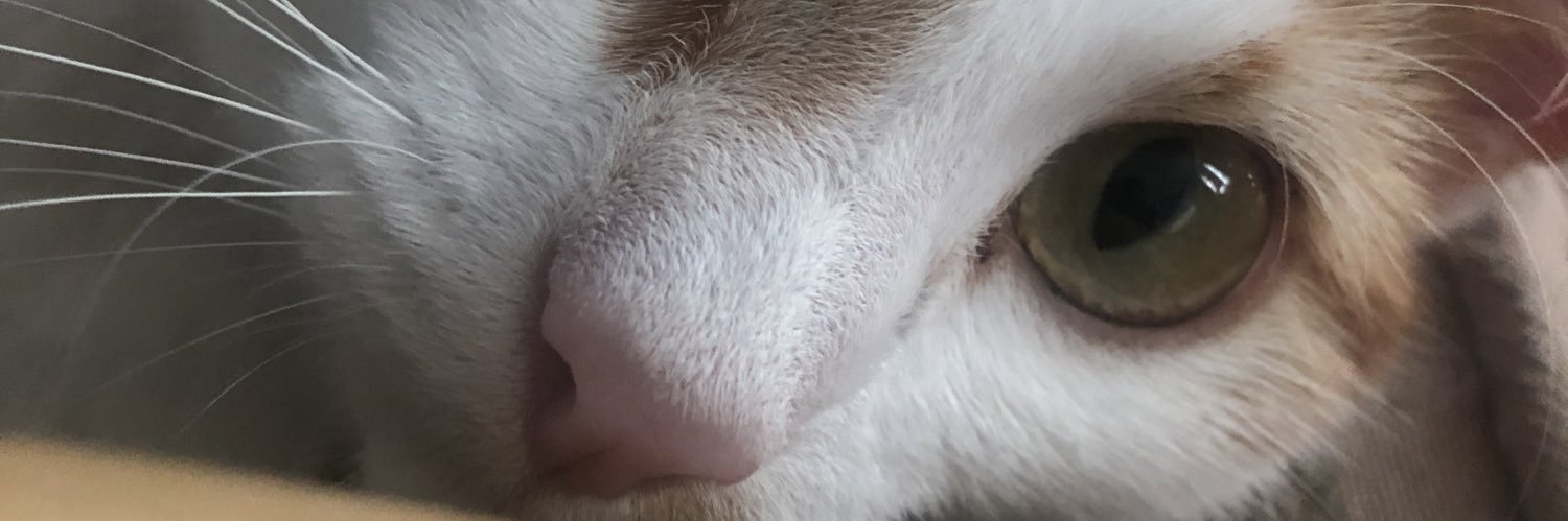 AngusGreenham's profile banner image
