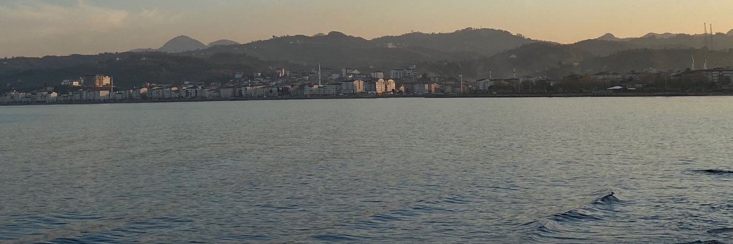 sturkoglu478's profile banner image