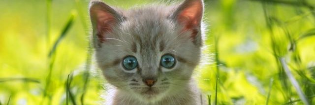 berat_tly's profile banner image