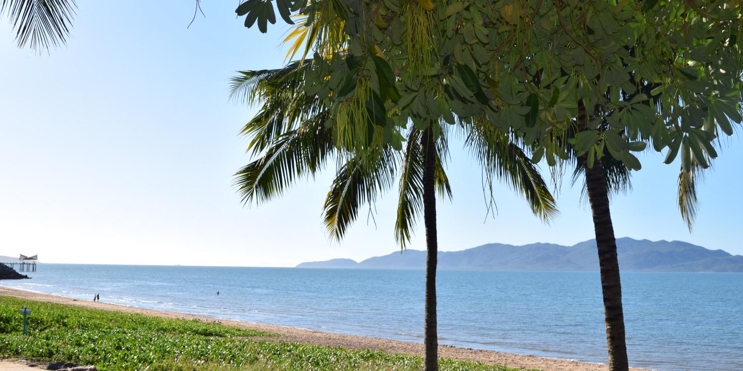 Tania Mitchell banner