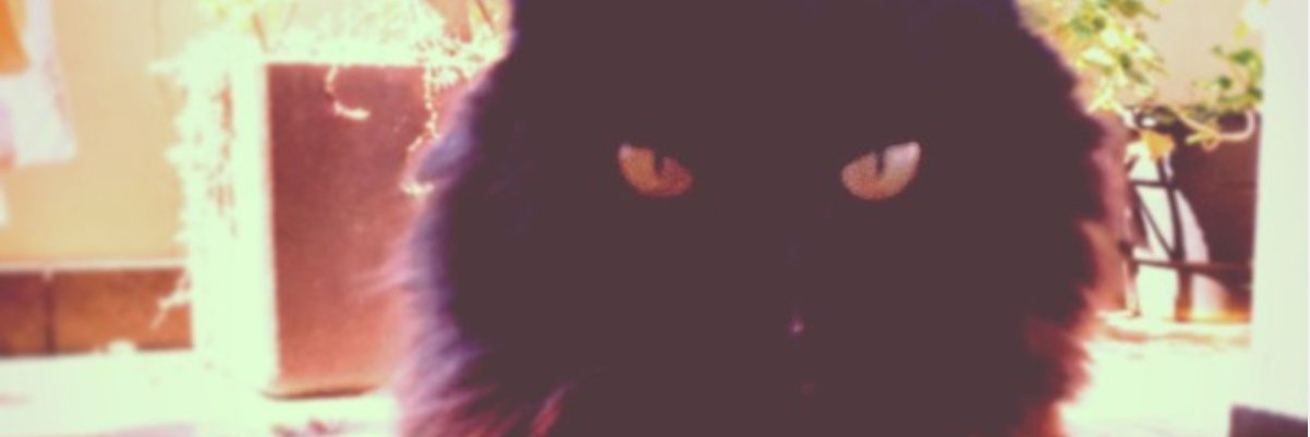 Andre Teixeira banner