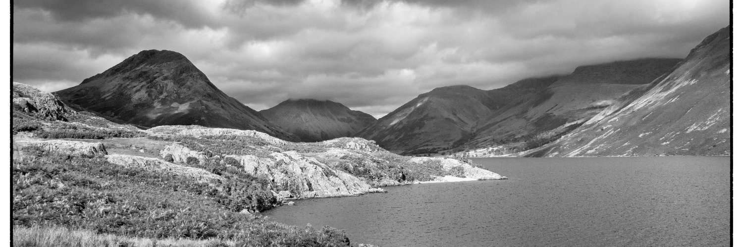 Peter Schneiter banner