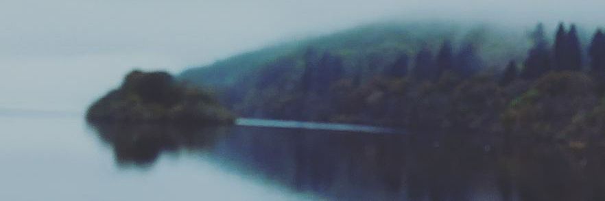 abnormalgail's profile banner image