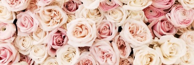 Julie_L13's profile banner image