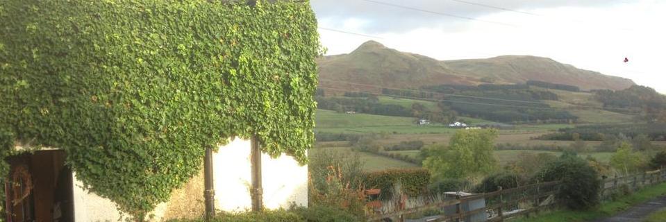 Daniel Greenock banner