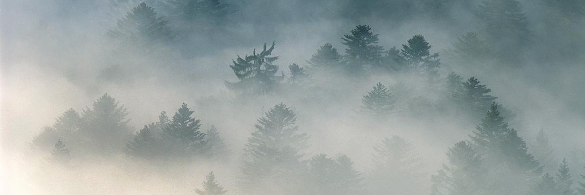 scoutons's profile banner image