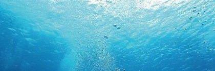 _____519_____'s profile banner image
