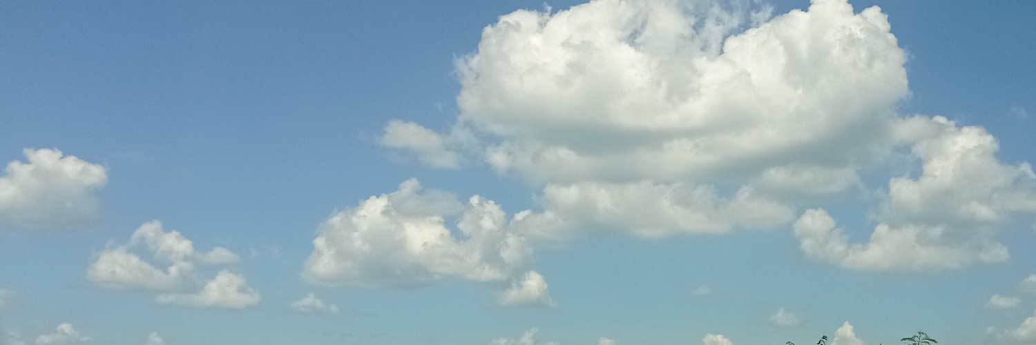 🌧️🐌 banner