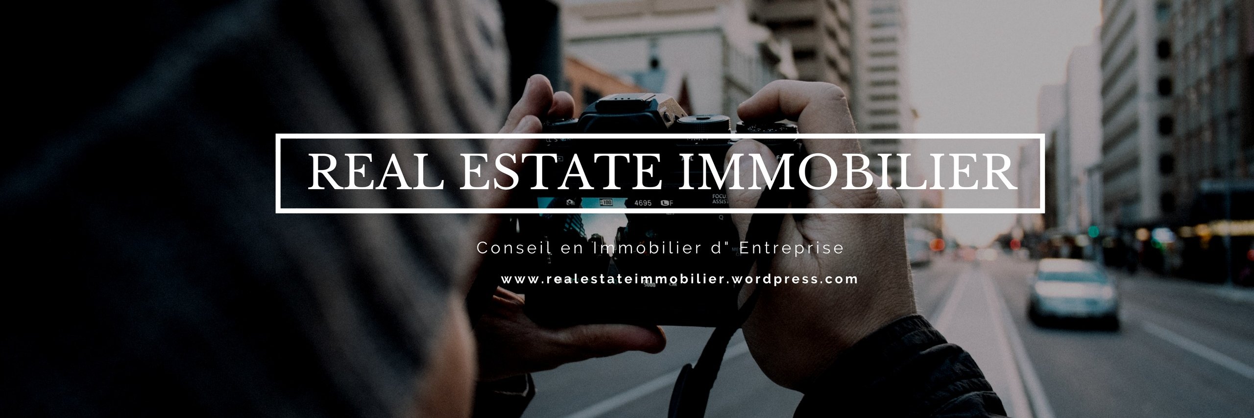 REAL ESTATE IMMO banner