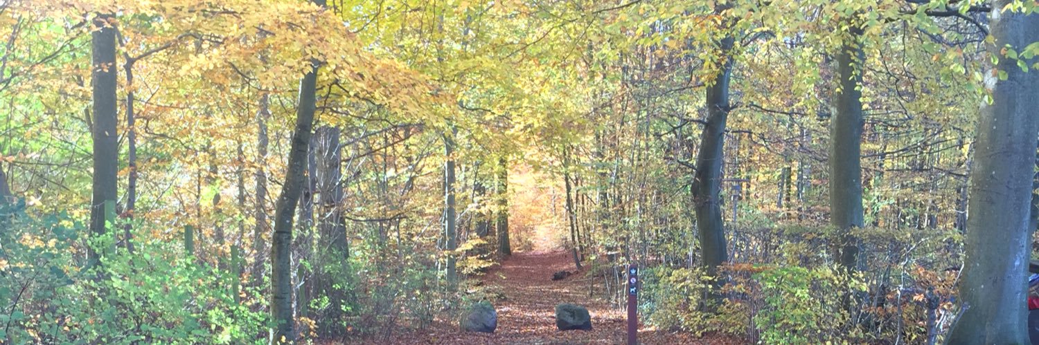 jacoblevin's profile banner image